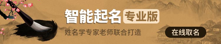 智能起名