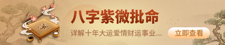 紫微终生运程