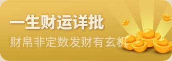 一生财运报告