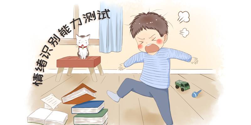 情绪识别能力测试